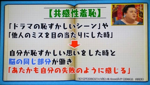 怒り新党 マツコ 神戸臨床心理オフィス 臨床心理士 内田智章