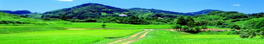 営業日,営業時間の御案内,カウンセリング,神戸,芦屋,西宮,催眠,臨床心理士