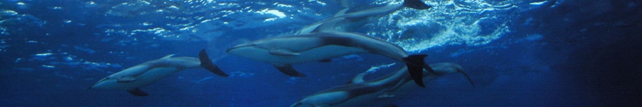 うつ,催眠,ヒプノ,カウンセリング,神戸,大阪,臨床心理士