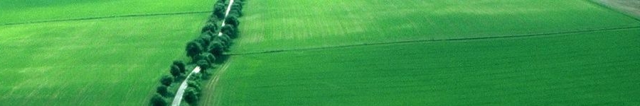 死にたい,うつ,カウンセリング,神戸,催眠,臨床心理士