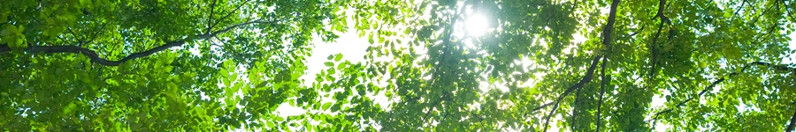 神戸,芦屋,西宮にて,臨床心理士による上質・親身なカウンセリング　安心の料金設定