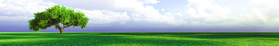 良いカウンセラー,悪いカウンセラー,カウンセラーの選択,臨床心理士,資格,カウンセリング